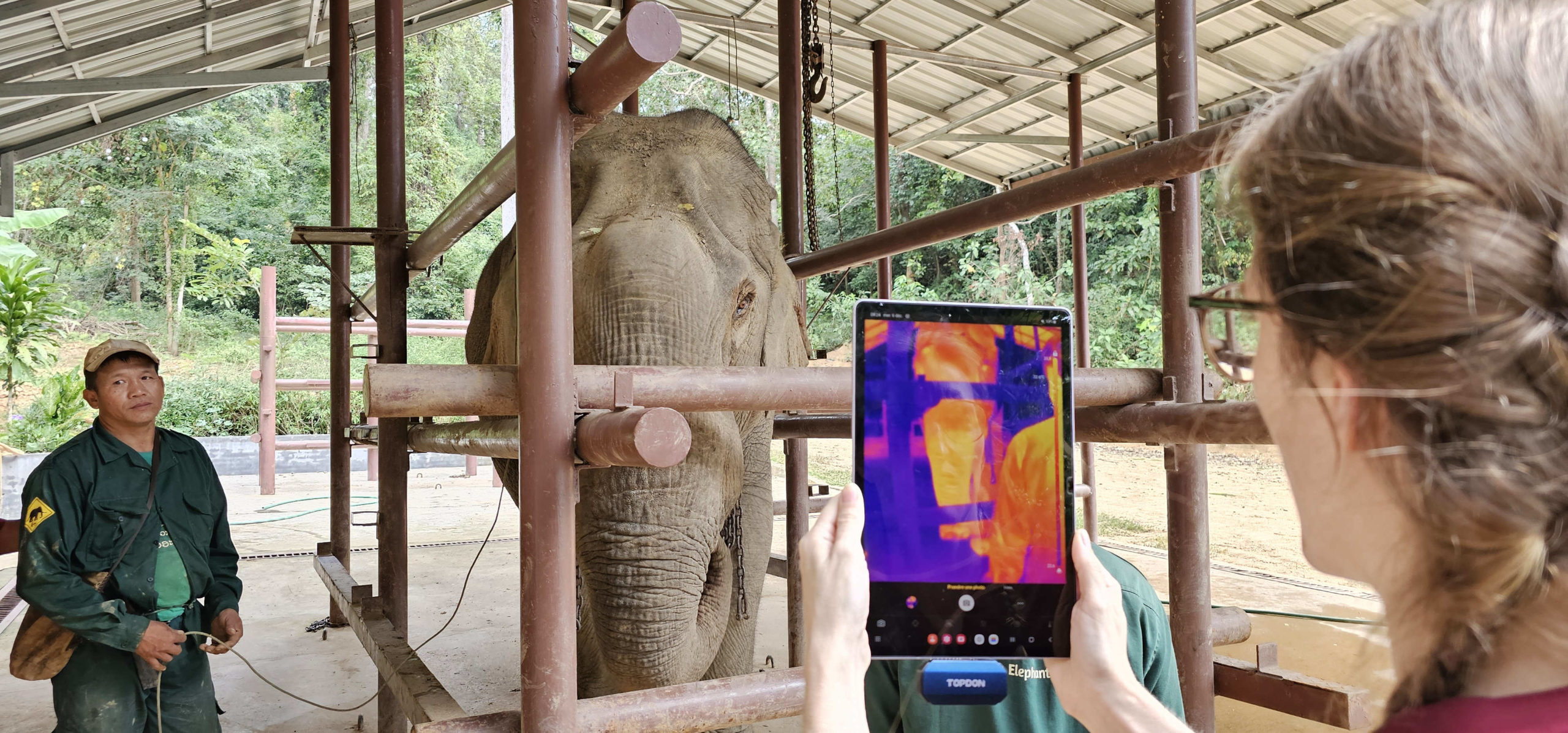 Elephant Veterinary Training Course