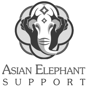 Asian Elephant Support