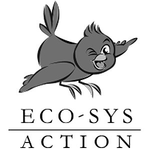Eco-Sys Action