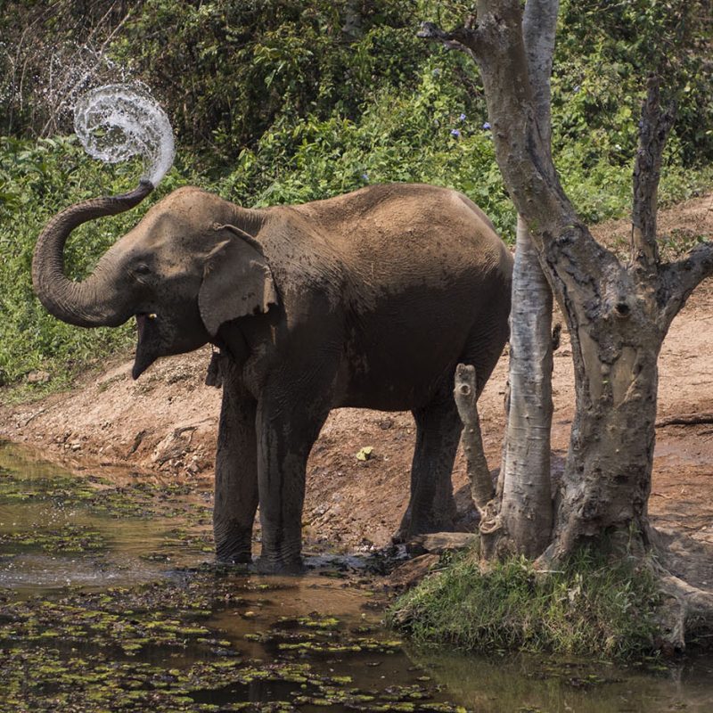 Mae Kham Ohn splashing water over her self in front of lake