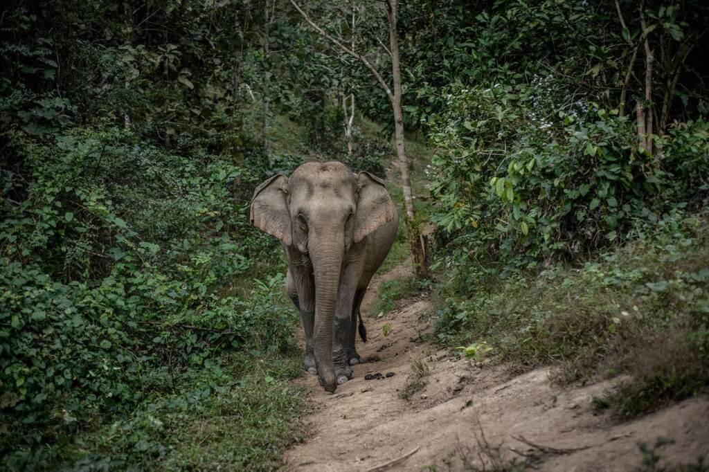 Mae Kham Pheng is blind in one eye and accepts only her soul sister Mae Thong Bay
