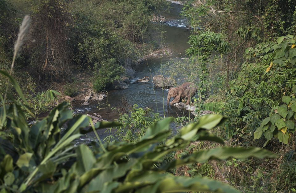 NATIONAL PROTECTED AREA MANAGEMENT