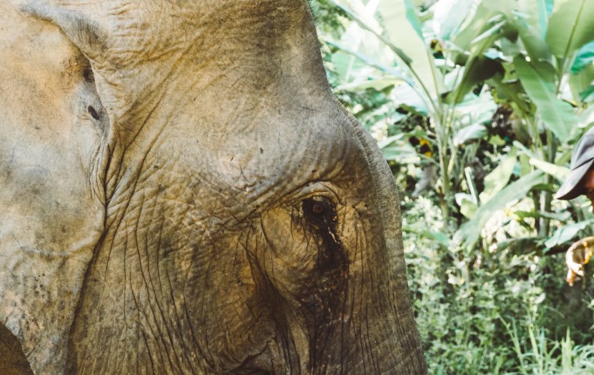 OLYMPUS DIGITAL CAMERA OLYMPUS DIGITAL CAMERA