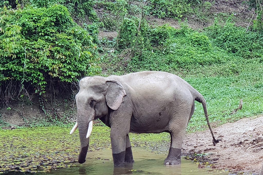 Saved from a laser show at a Casino