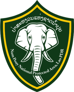 LOGO_NP_NPA