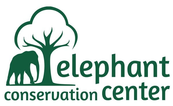 www.elephantconservationcenter.com