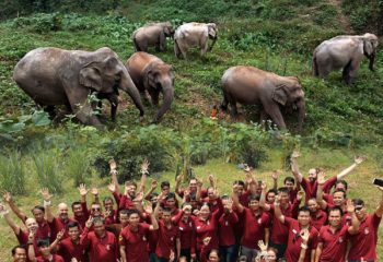 Experience Mekong Collection