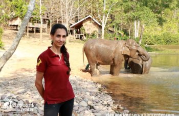 ElephantConservationCenter_Bloodsamples (22)