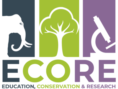 ECORE_LOGO_3