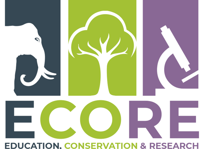 ECORE_LOGO_3