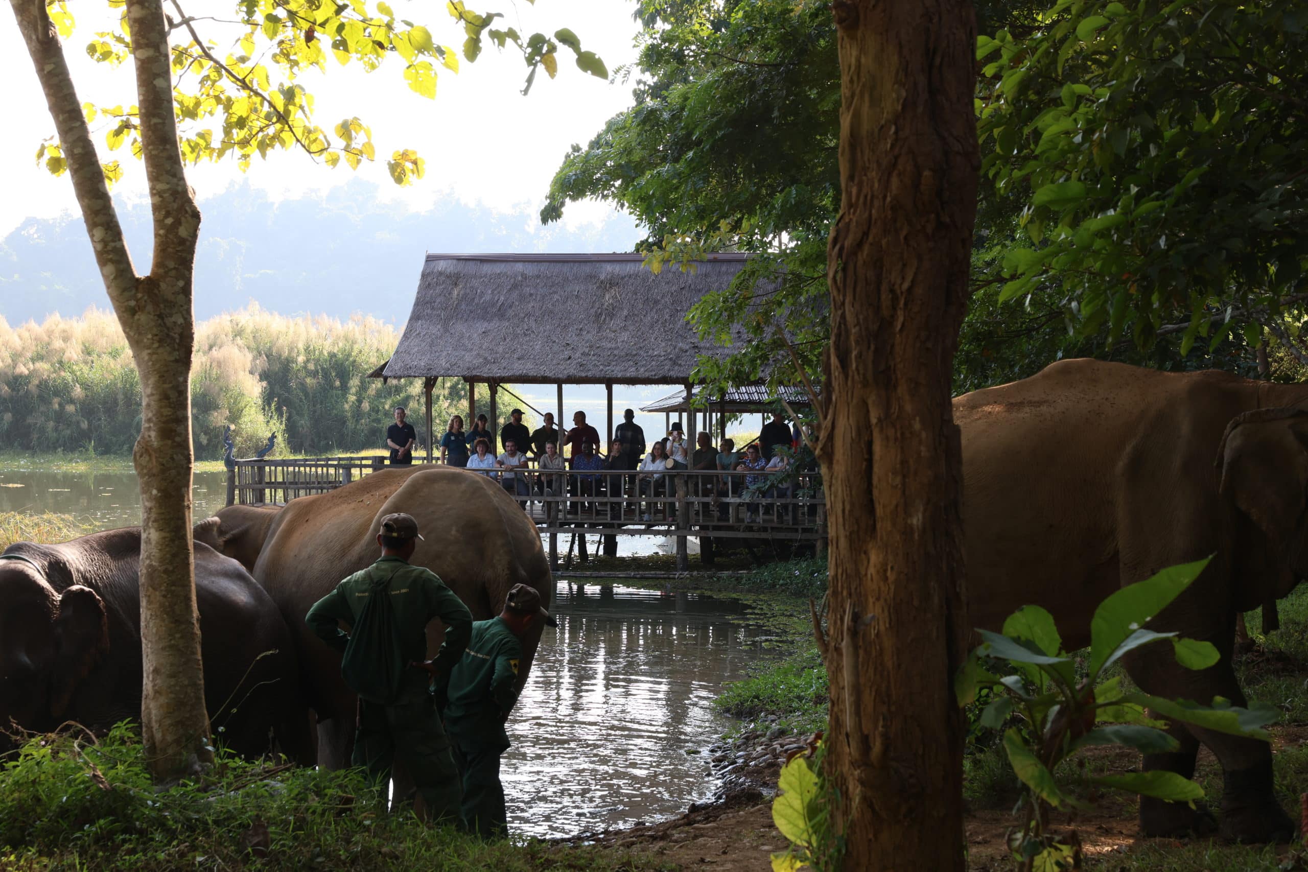 5-Day Introduction to Conservation