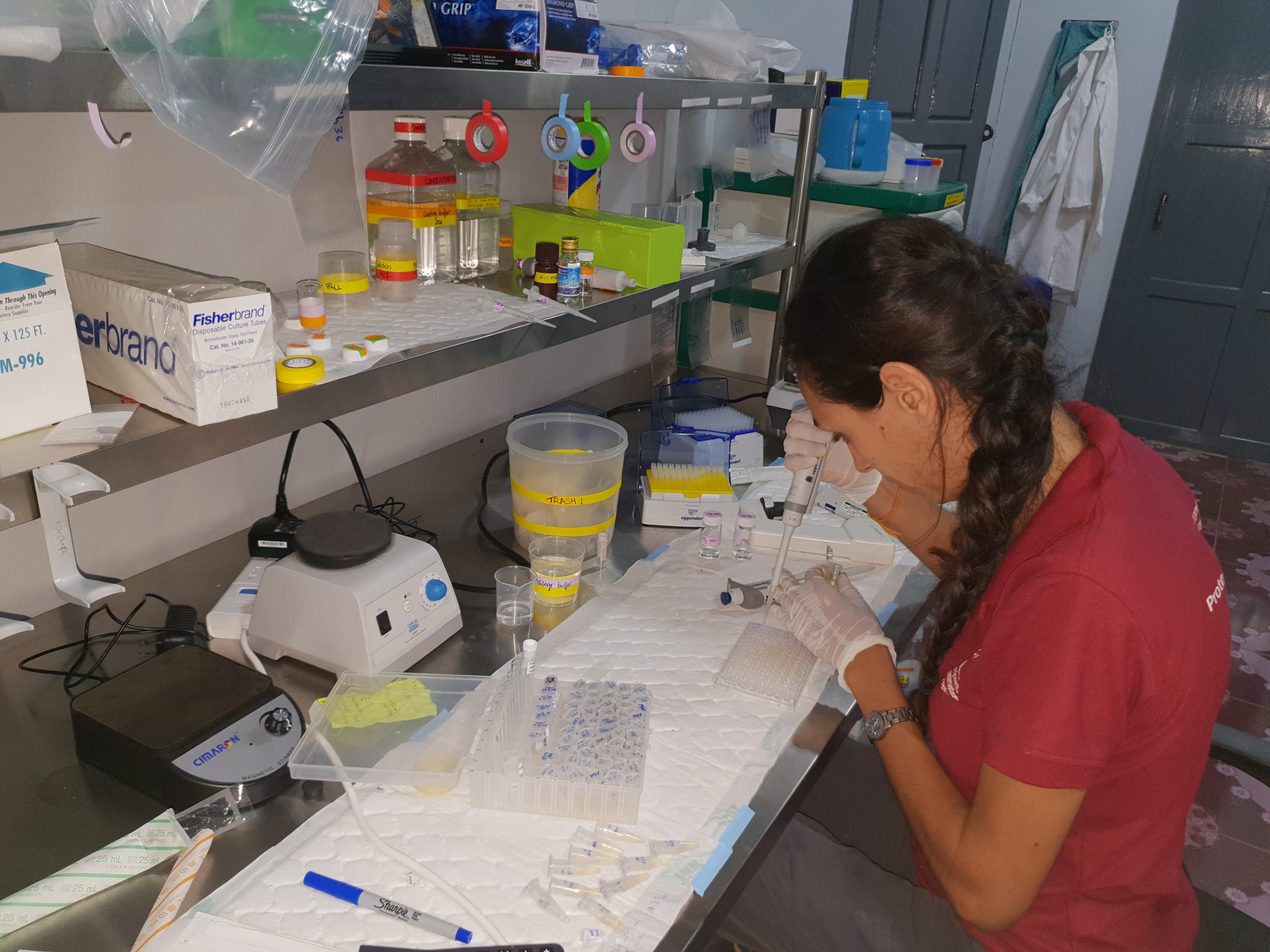 Individual Research & Long-Term Internship