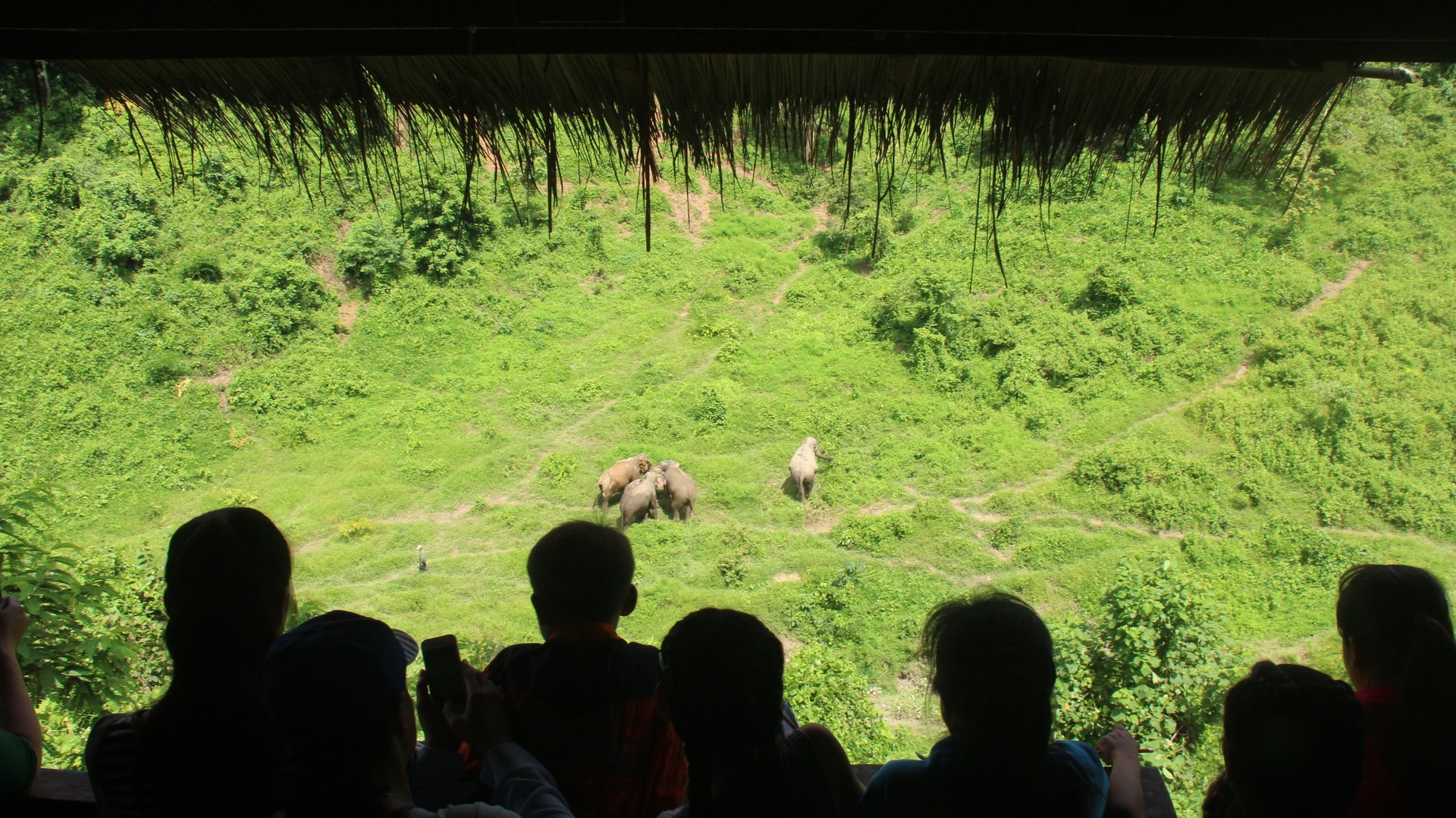 ElephantConservationCenter_Sayaboury_Laos_ClassesNature (28)