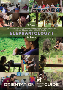 Elephantology_s-1